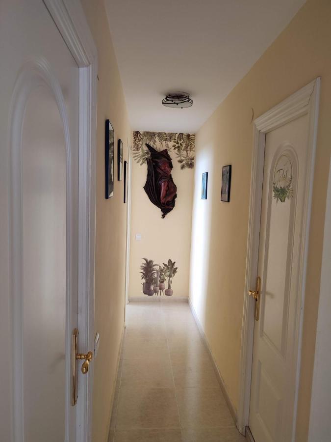 Apartamento En Playa Semi-Privada เบนัลมาเดนา ภายนอก รูปภาพ